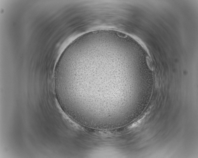 X0000062650911200601040915