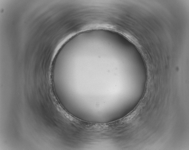 X0000062650912200601040915