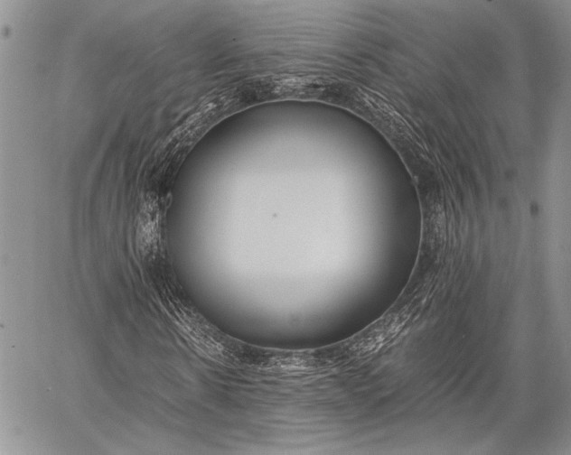 X0000062650914200601040914