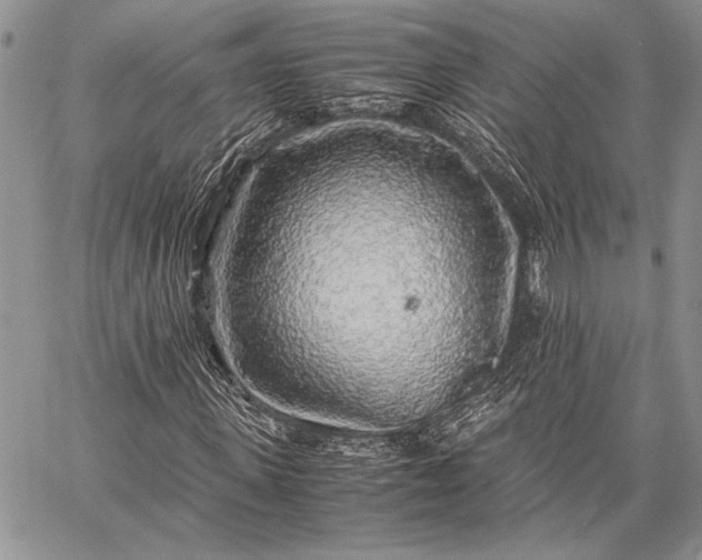 X0000062650915200601040914