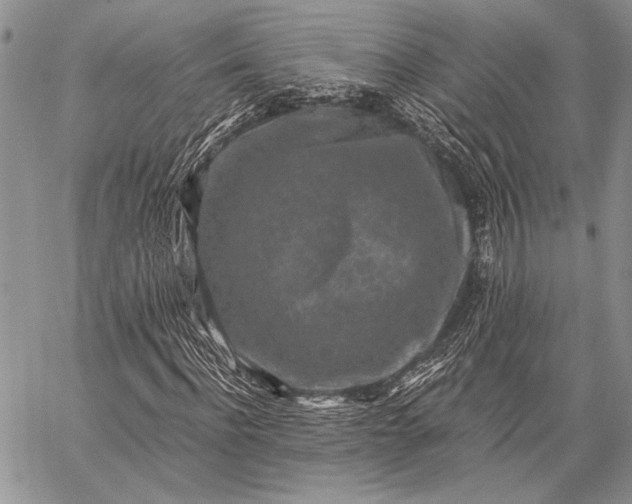 X0000062650916200601040914