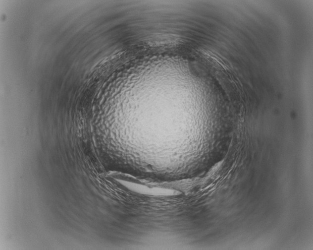 X0000062650917200601040914