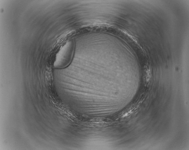 X0000062650918200601040914