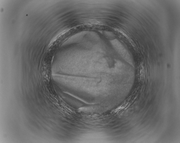 X0000062650919200601040914