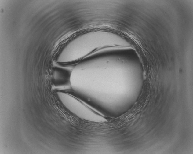 X0000062650920200601040914