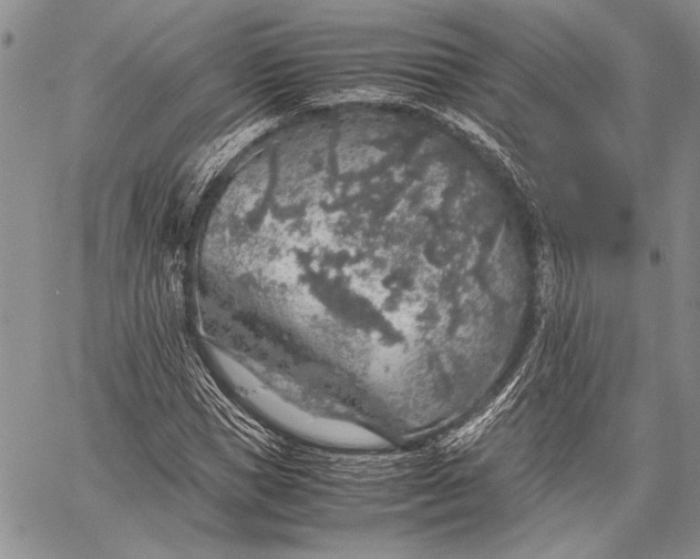 X0000062650921200601040914