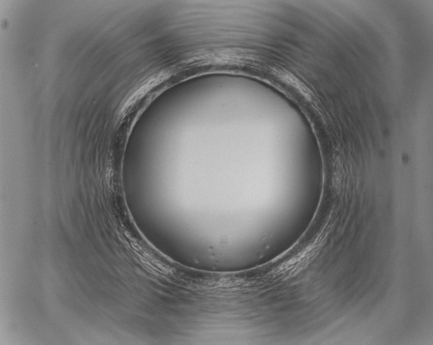 X0000062650922200601040914