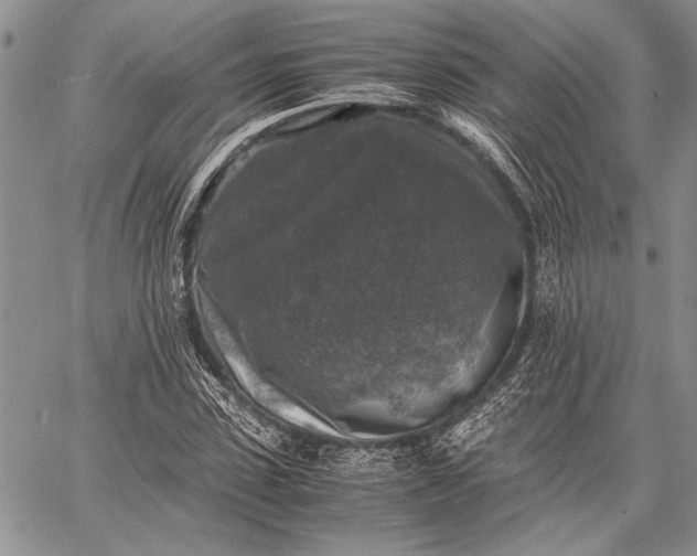 X0000062650923200601040914