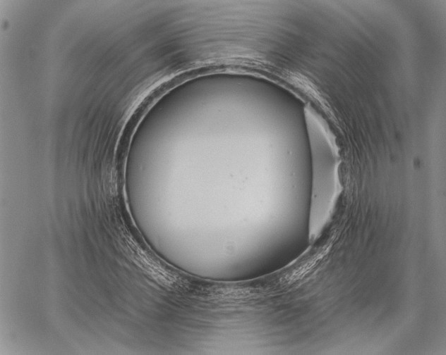 X0000062650924200601040914