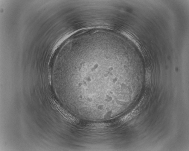 X0000062650925200601040914