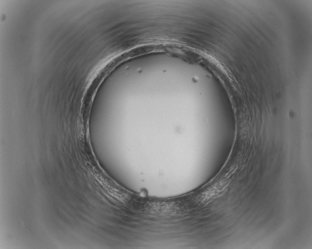 X0000062650927200601040914