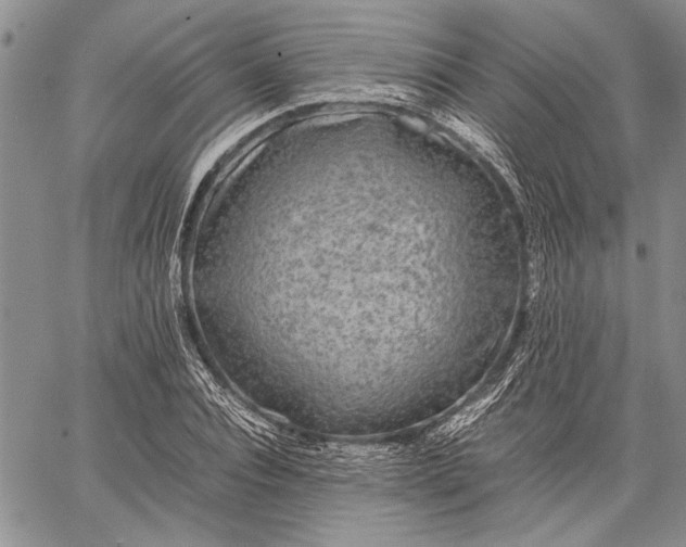 X0000062650928200601040914