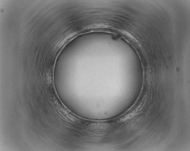 X0000062650929200601040914