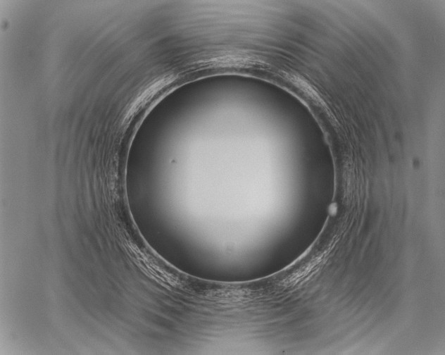 X0000062650930200601040914