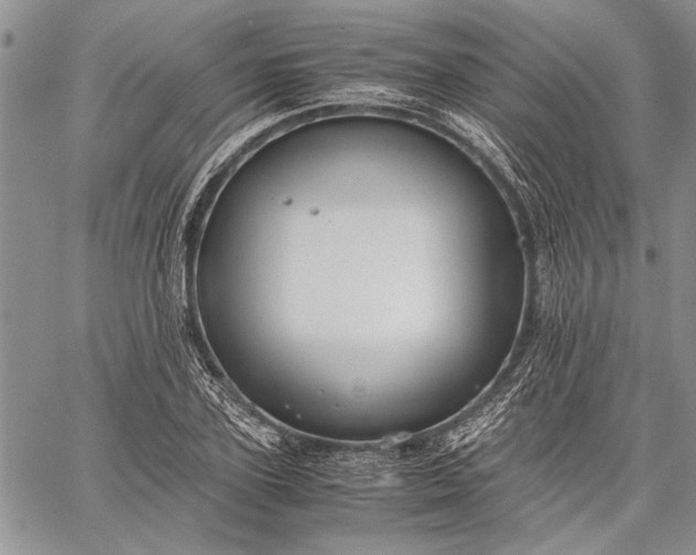 X0000062650931200601040914