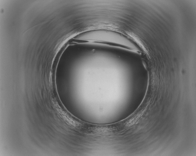 X0000062650932200601040914