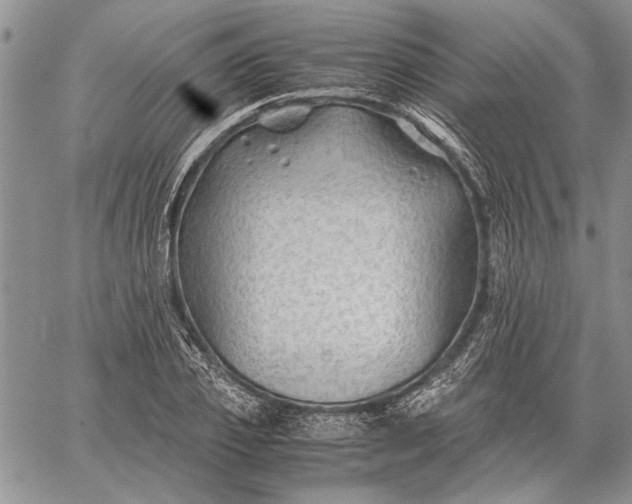 X0000062650933200601040914