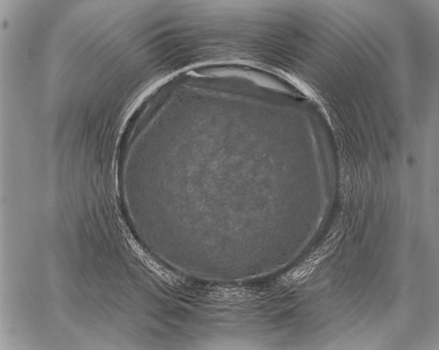 X0000062650935200601040914