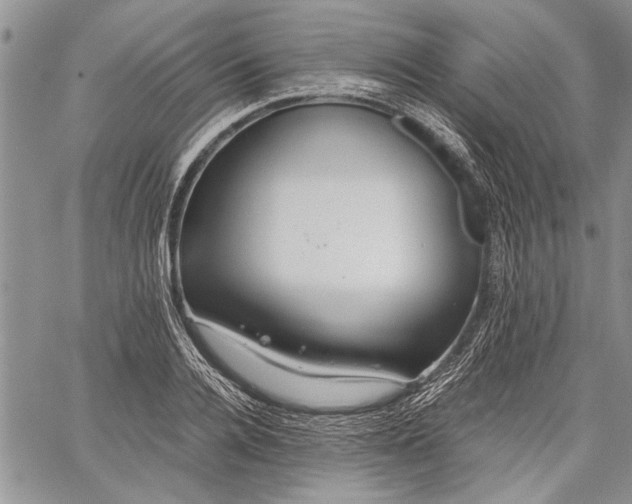 X0000062650936200601040914