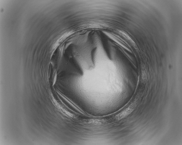 X0000062650938200601040914