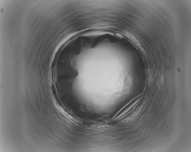 X0000062650939200601040914