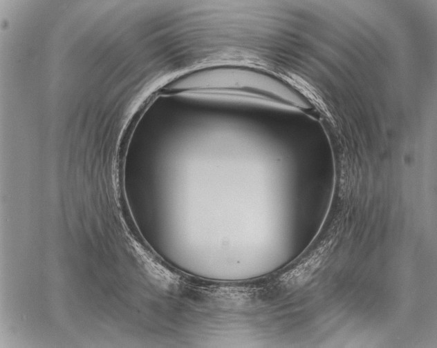 X0000062650942200601040914