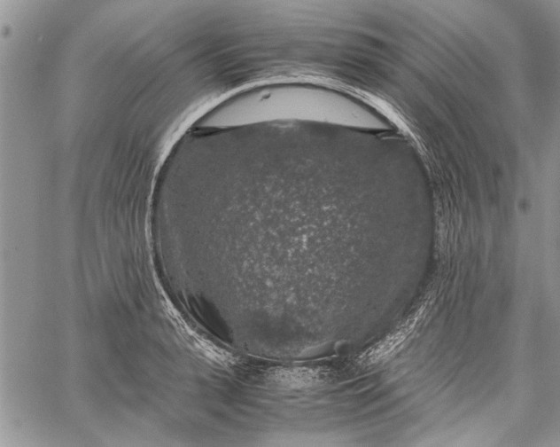 X0000062650943200601040914