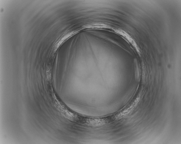 X0000062650945200601040914