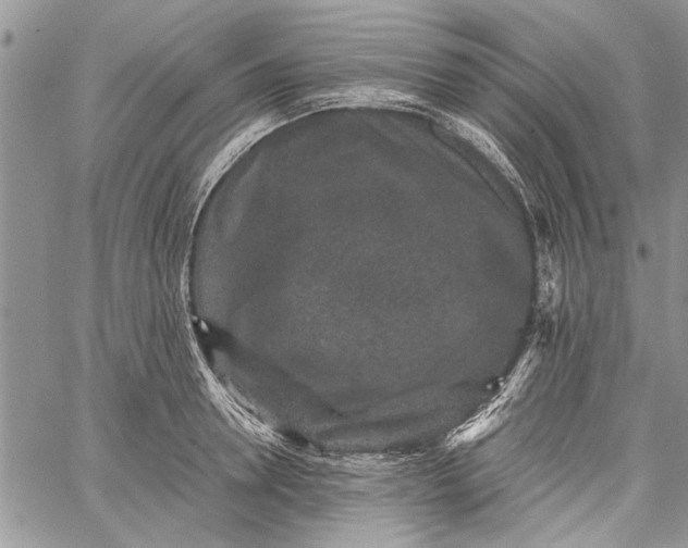 X0000062650946200601040914