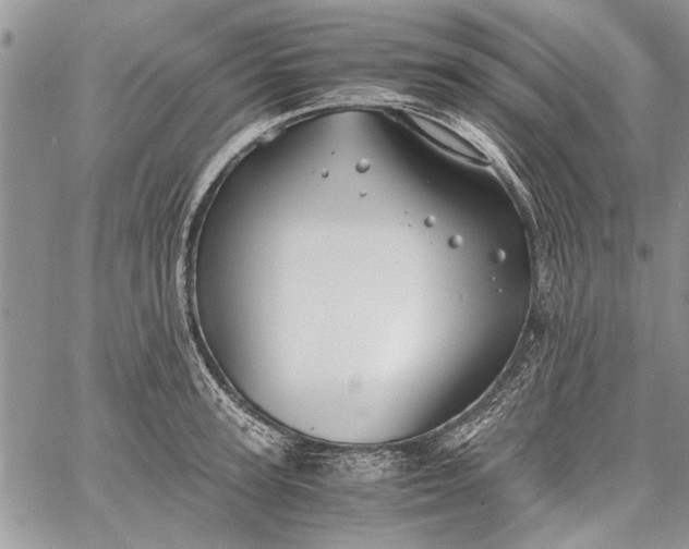 X0000062650947200601040914