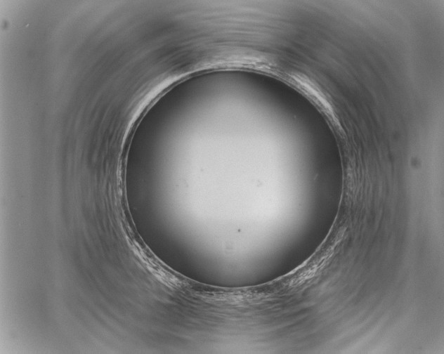 X0000062650948200601040914