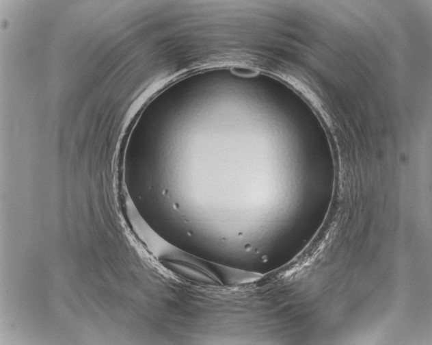 X0000062650949200601040914