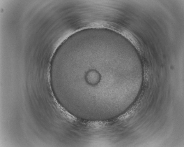 X0000062650950200601040914