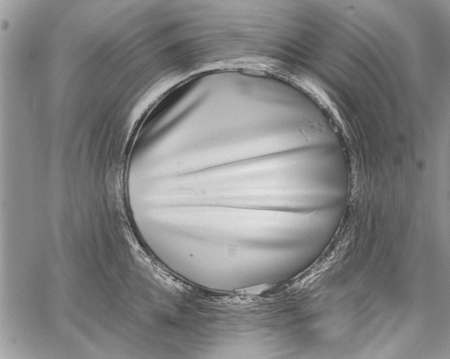 X0000062650952200601040914