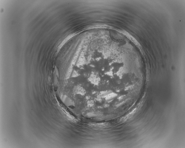 X0000062650953200601040914