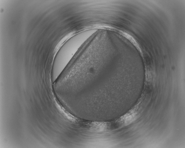 X0000062650954200601040914