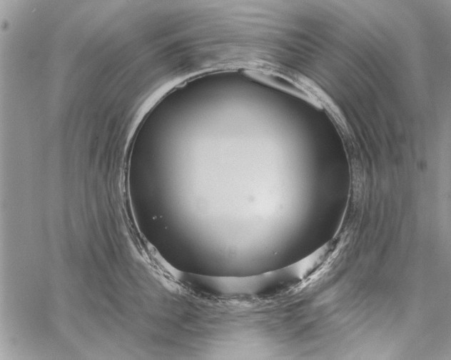 X0000062650956200601040915