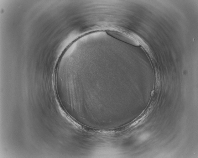 X0000062650958200601040915