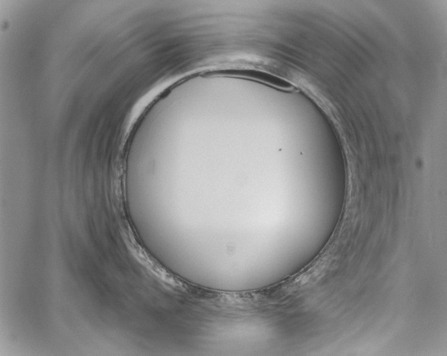 X0000062650960200601040915