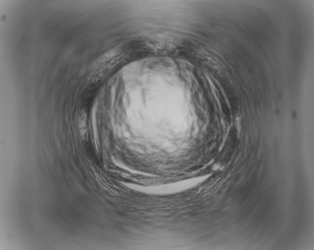 X0000062650963200601040914