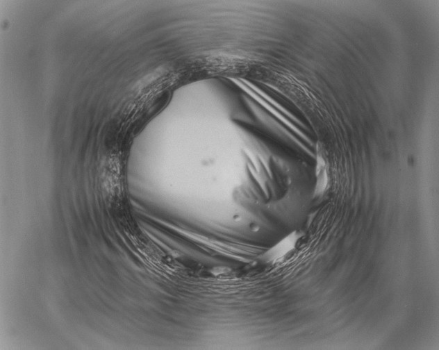 X0000062650964200601040914