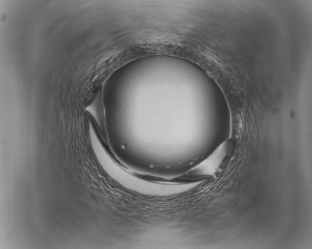 X0000062650965200601040914