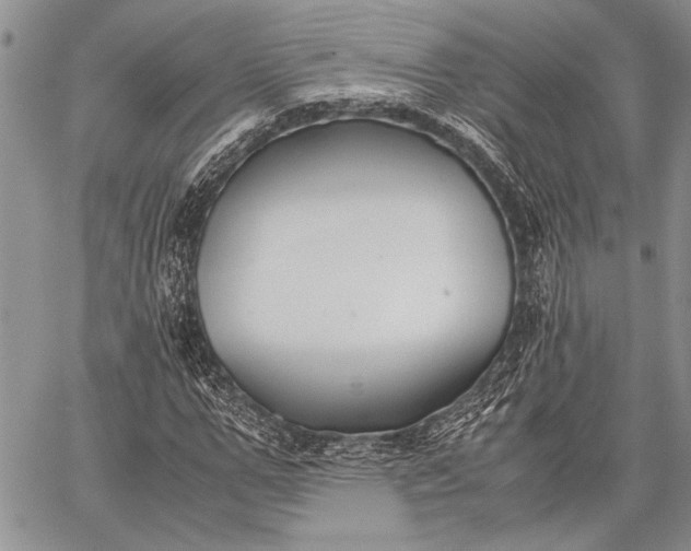 X0000062650967200601040914