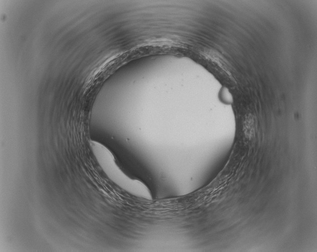 X0000062650968200601040914