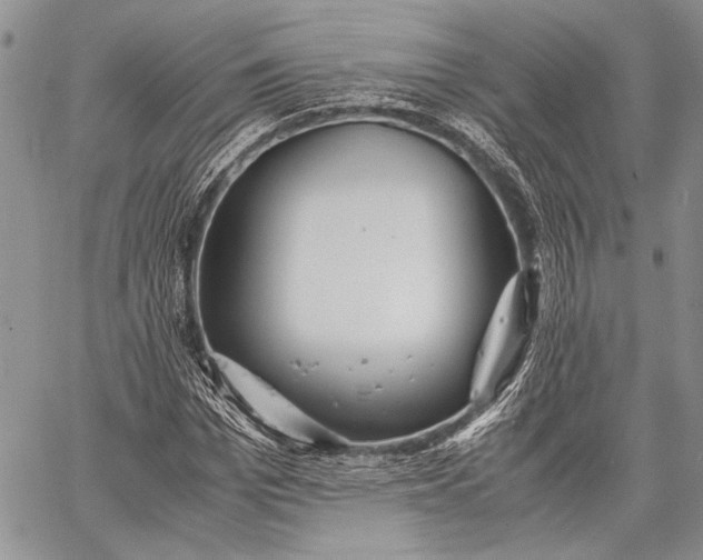 X0000062650969200601040914