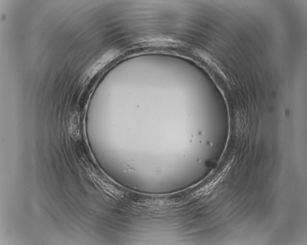 X0000062650970200601040914