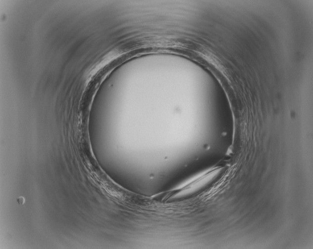 X0000062650971200601040914