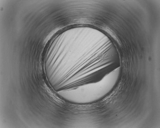 X0000062650972200601040914