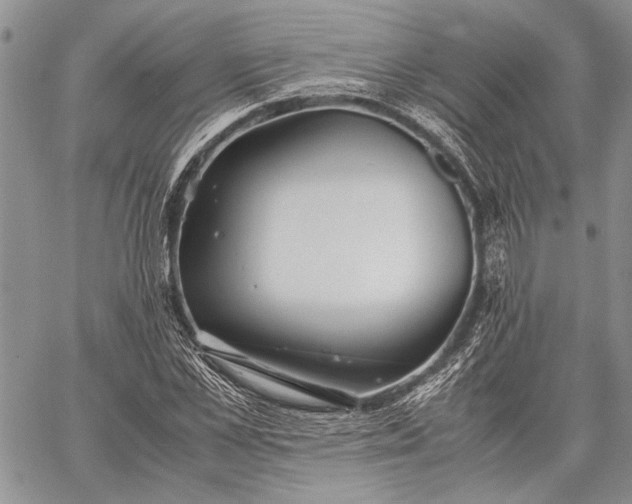 X0000062650973200601040914