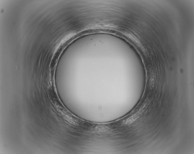 X0000062650974200601040913